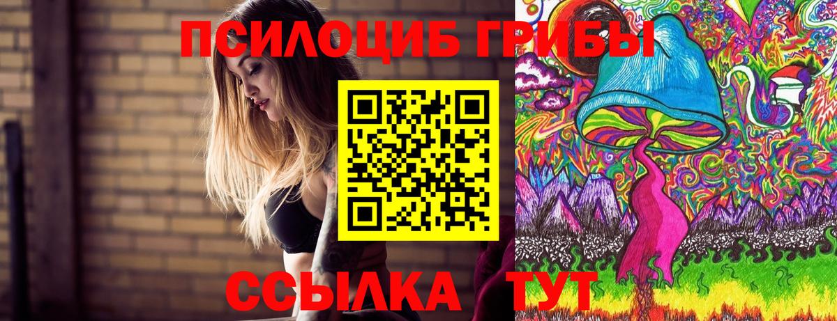 Псилоцибиновые грибы прущие грибы Пугачёв